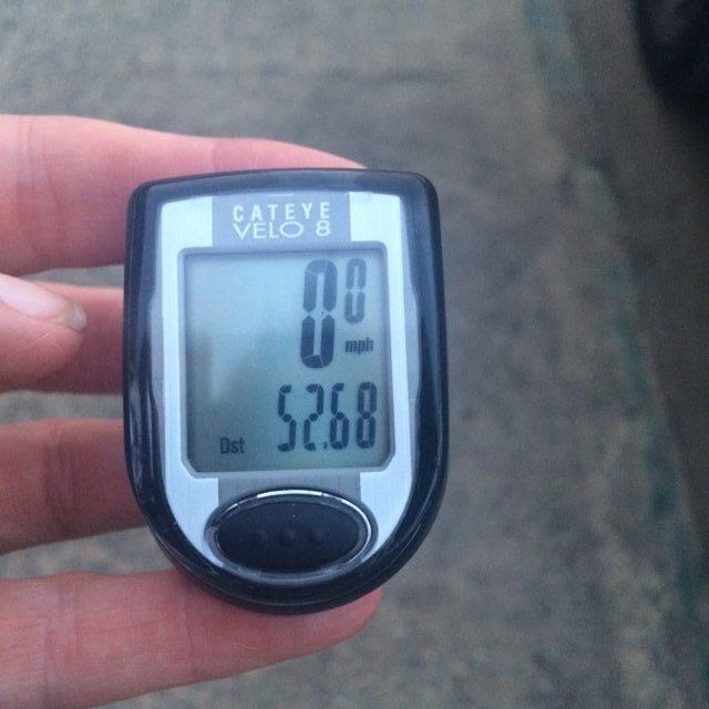 Monica McHale-Small_2